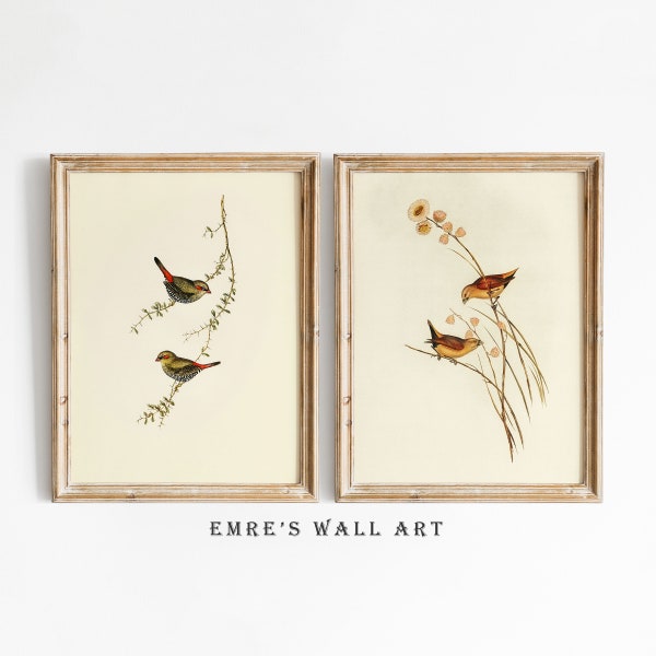 Bird Wall Art Printable - Etsy