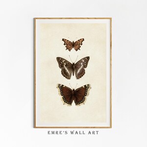 Three vintage butterflies illustration on beige textured background. The top butterfly has jagged wings in light brown, the middle one displays darker brown wings with white spots, and the bottom butterfly has deep brown wings with cream edges. A detailed antique-style sketch evoking natural history and timeless elegance.