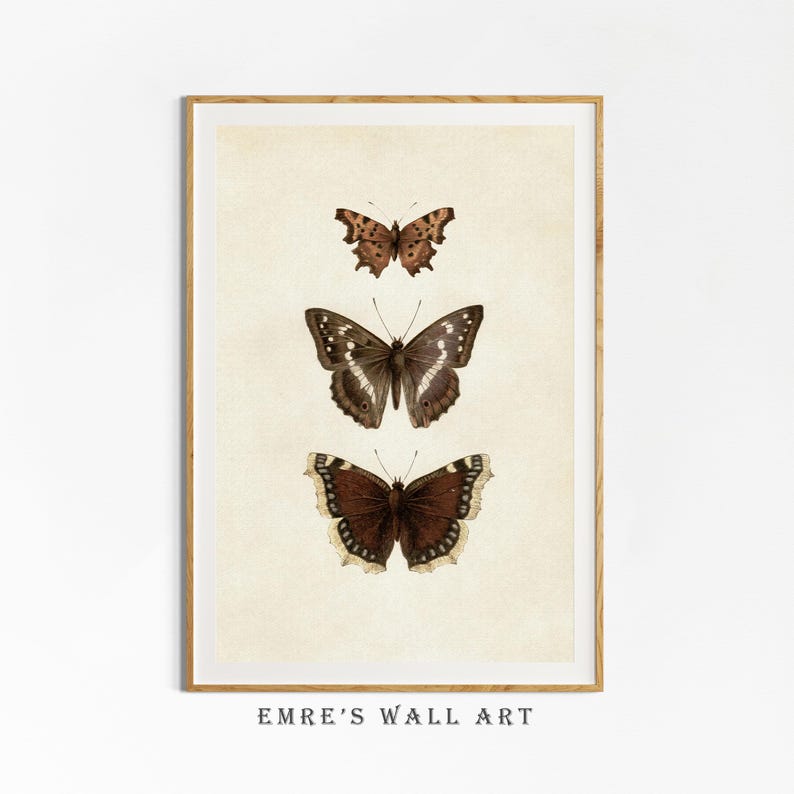Three vintage butterflies illustration on beige textured background. The top butterfly has jagged wings in light brown, the middle one displays darker brown wings with white spots, and the bottom butterfly has deep brown wings with cream edges. A detailed antique-style sketch evoking natural history and timeless elegance.