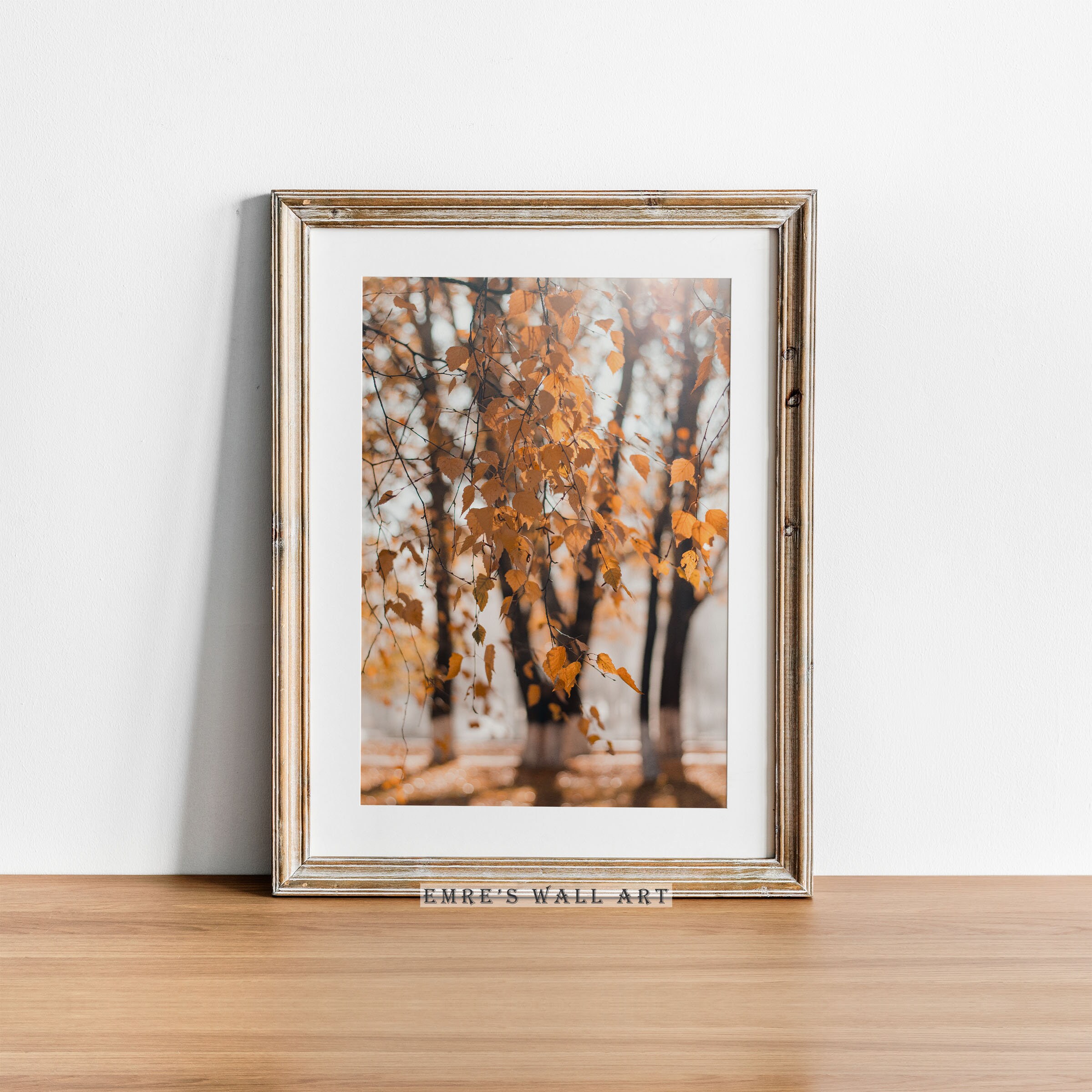 Autumn Forest Photo Print Set: Rustic Landscape Wall Art (digital ...