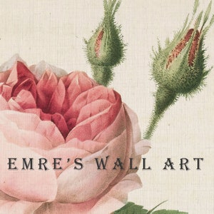 May include: A vintage illustration of a pink rose with green buds. The text "EMRE'S WALL ART" is printed below the rose.