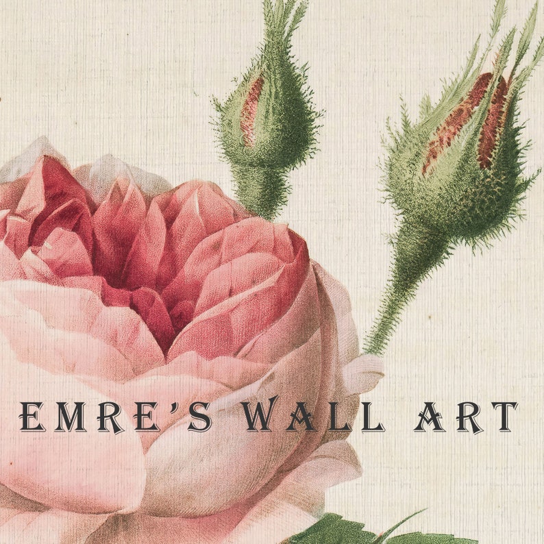 May include: A vintage illustration of a pink rose with green buds. The text "EMRE'S WALL ART" is printed below the rose.