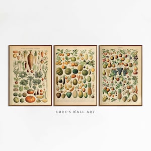 Vintage Fruit and Vegetable Print, Botanical Kitchen Gallery Wall Art, Botanical Poster Print Set, Vegetable Wall Art Set, Fruit Wall Art