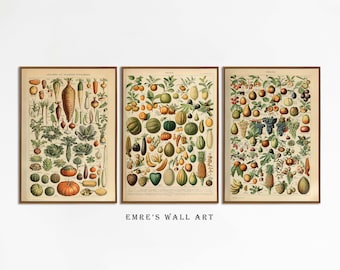 Impresión de frutas y verduras vintage, arte de pared de galería de cocina botánica, juego de impresiones de póster botánico, juego de arte de pared de verduras, arte de pared de frutas