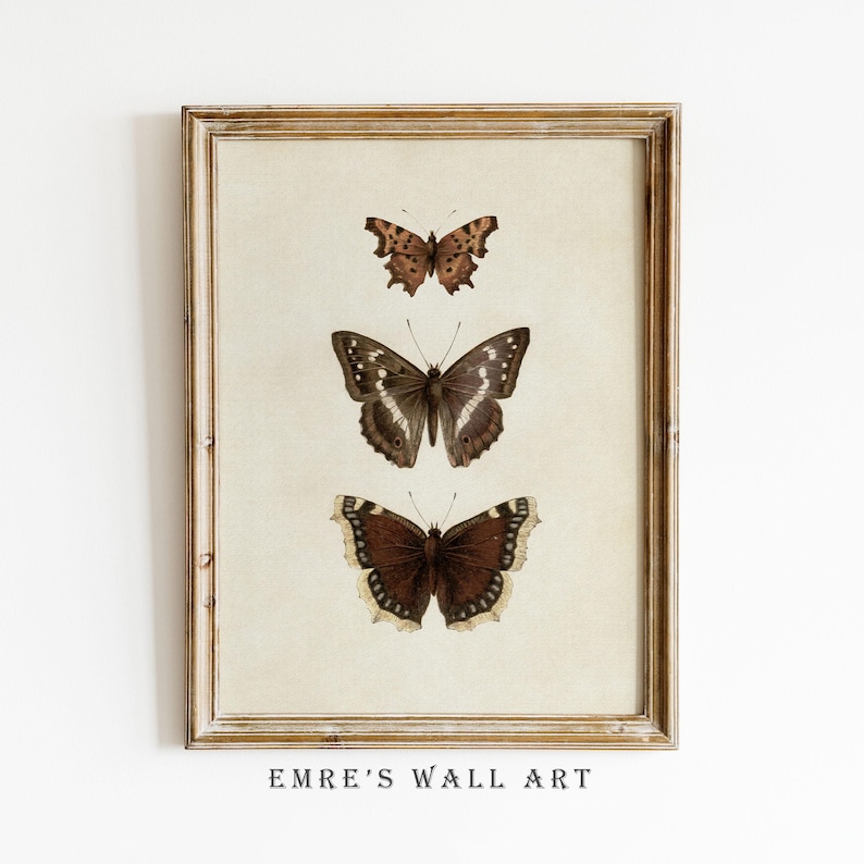 Three vintage butterflies illustration on beige textured background. The top butterfly has jagged wings in light brown, the middle one displays darker brown wings with white spots, and the bottom butterfly has deep brown wings with cream edges. A detailed antique-style sketch evoking natural history and timeless elegance.