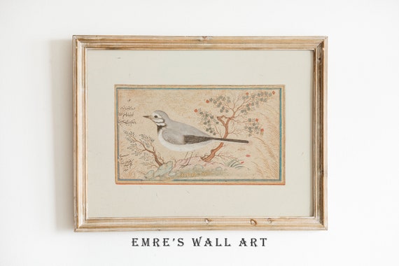 Vintage Bird Drawing Print Vintage Bird Nursery Art Country - Etsy