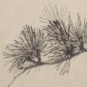 A vintage Japanese ink wash painting of a pine tree branch with detailed pine needles and a small pinecone against a textured beige paper background. The elegant black brushstrokes capture a minimalist, traditional East Asian artistic look. A small red artist seal is visible in the bottom right corner.