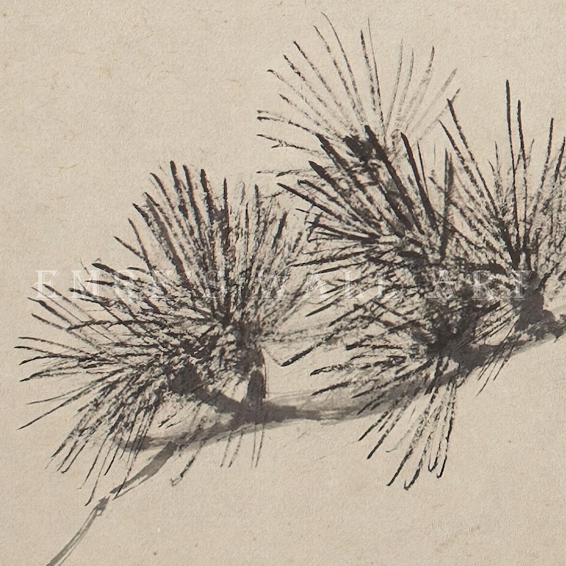 A vintage Japanese ink wash painting of a pine tree branch with detailed pine needles and a small pinecone against a textured beige paper background. The elegant black brushstrokes capture a minimalist, traditional East Asian artistic look. A small red artist seal is visible in the bottom right corner.
