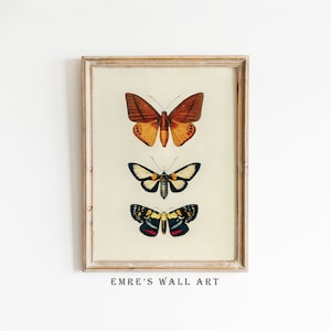 Boho Butterfly Print, Butterfly Wall Art, Antique Butterfly Drawing, Vintage Butterfly Printable, Butterfly Wall Decor, Retro Artwork Print