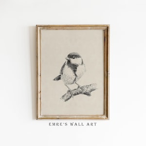 Vintage Bird Print, Bird Wall Decor, Printable Bird Sketch, Antique Bird Drawing, Gift for Animal Lovers, Retro Bird Art Digital Download