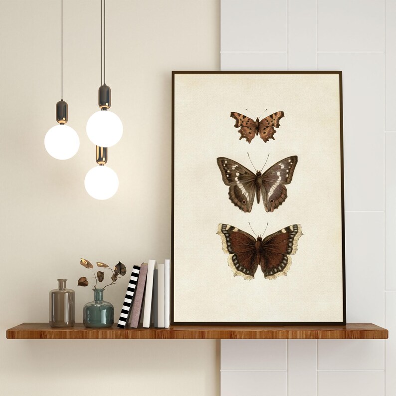 Three vintage butterflies illustration on beige textured background. The top butterfly has jagged wings in light brown, the middle one displays darker brown wings with white spots, and the bottom butterfly has deep brown wings with cream edges. A detailed antique-style sketch evoking natural history and timeless elegance.