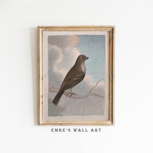 Vintage Bird Drawing Art Print: Antique Farmhouse Decor (Digital Download)