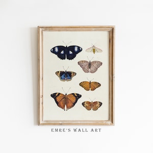 Vintage Butterfly Prints, Printable Butterfly Poster, Butterfly Wall Decor, Butterfly Drawing Art Print, Digital Downloadable Vintage Arts