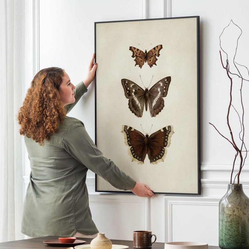 Three vintage butterflies illustration on beige textured background. The top butterfly has jagged wings in light brown, the middle one displays darker brown wings with white spots, and the bottom butterfly has deep brown wings with cream edges. A detailed antique-style sketch evoking natural history and timeless elegance.
