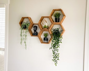 Set of 6 Hexagon Shelves, Honeycomb Shelves, Plant Shelves, Wall Decor