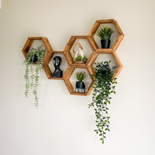 Set of 6 Hexagon Shelves, Honeycomb Shelves, shops Plant Shelves, Wall Decor