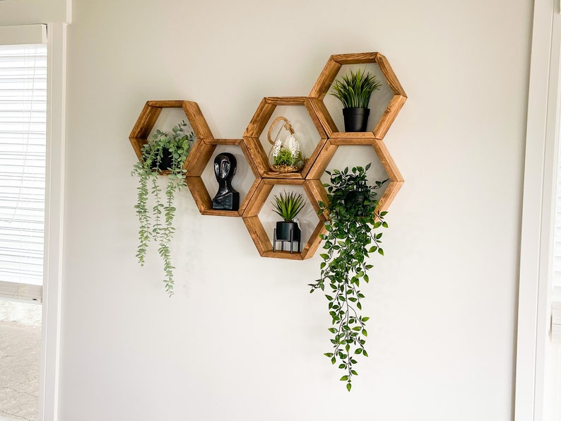Set of 6 Hexagon Shelves, Honeycomb Shelves, shops Plant Shelves, Wall Decor