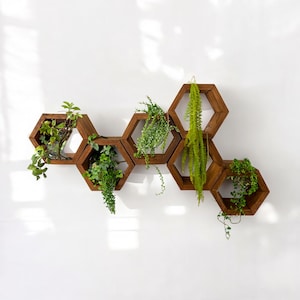 Mini Hexagon Shelves, Set of Hexagons, Honeycomb Shelves, Plant Shelves, Wall Decor