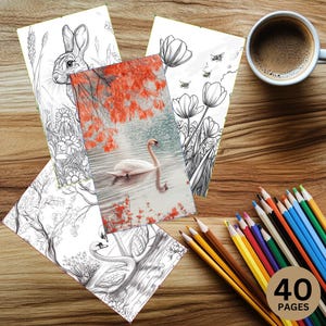Springtime Wonders Coloring Book – 40 Pages of Flowers, Animals, and Nature Designs