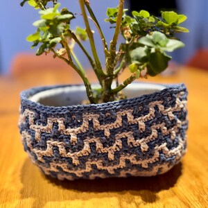 Peut inclure: Un petit pot de plante rond, bleu et blanc, crocheté avec un motif géométrique. Le pot contient une petite plante verte. Le pot est posé sur une surface en bois.