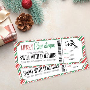 Christmas Swimming with Dolphins Gift Ticket | Holiday Dolphin Excursion Gift Certificate | Swim with Dolphins Gift Voucher | Printable Gift