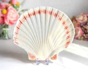k amsterdam Ceramic Shell Plate Red Fluted Coastal Dish