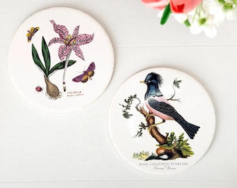 Salvamanteles de cerámica vintage Portmeirion (par) con diseño de aves de jardín botánico de Gran Bretaña