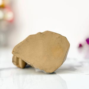 Close-up of a light brown rock resting on a white surface, with a blurred colorful background on the left.