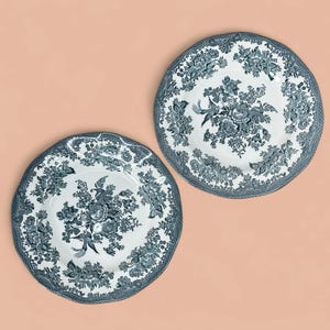 Set of 2 Enoch Wedgwood Asiatic Pheasants Plates, Vintage Teal Transferware
