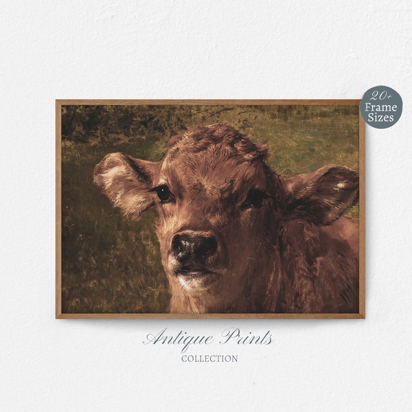 Vintage Veal Oil Painting, Antique Cattle Wall Art, Farmhouse Wall Decor, Highland Cow Print -PRINTABLE