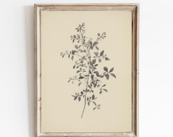 Botanical Print, Minimalist Flowers Sketch Wall Art, Neutral Branch Vintage Drawing, PRINTABLE Farmhouse Elegant Wall Decor