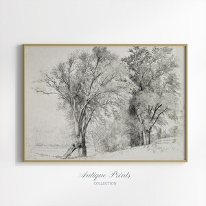 Neutrale Waldzeichnung, Vintage Landschaft, antiker Naturdruck, neutrales Land, rustikale Bauernhausdekoration - DRUCKBAR