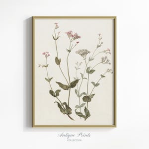 Neutral Botanical Drawing, Vintage Flowers Sketch, Minimalist Floral Print, Antique Vertical Flower Drawing, Farmhouse Decor - PRINTABLE