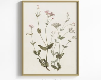 Dibujo botánico neutro, boceto de flores vintage, estampado floral minimalista, dibujo de flores verticales antiguas, decoración de granja - IMPRIMIBLE