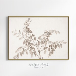 Dibujo artístico de flores moradas vintage, dibujo botánico antiguo IMPRIMIBLE, impresión digital de naturaleza neutra, arte de pared rústico grande, arte floral