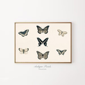 Vintage Neutral Butterflies Print, Antique Butterfly Drawing, Nursery Wall Art, Butterflies Sketch Art, Girls Room Print -  PRINTABLE