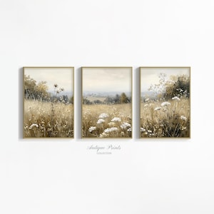 May include: Set of three framed landscape prints. Each print features a field of tall grass and wildflowers in shades of beige, brown, and white. The artwork has a vintage aesthetic, with a soft, muted color palette. The text "Antique Prints Collection" is at the bottom.