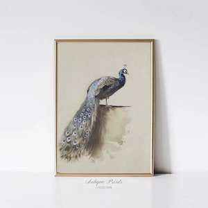 Vintage Indian Peacock Print, India Painting, Peacock Wall Art, Antique Nursery Wall Decor, Vintage India Home Decor - PRINTABLE