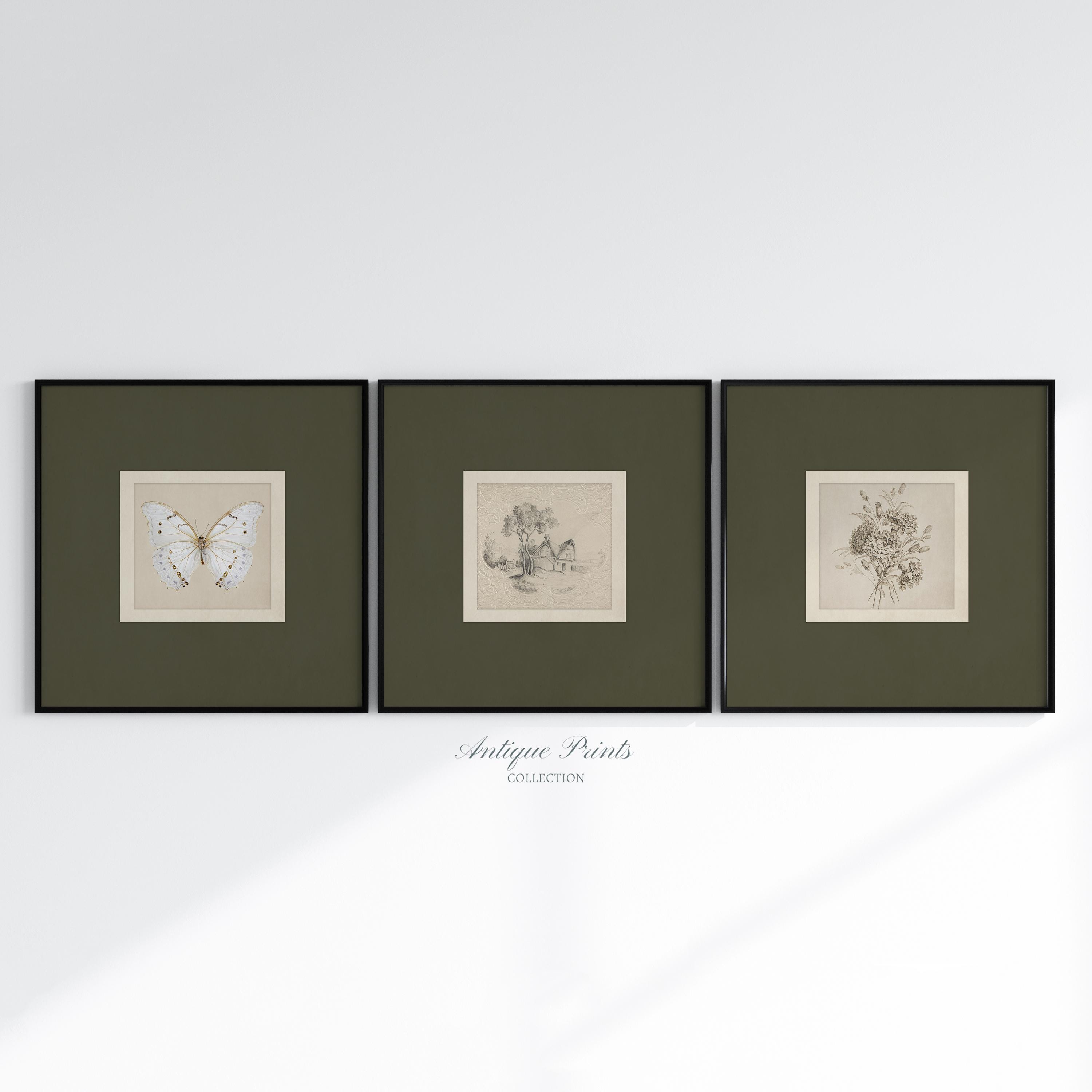 Square Prints Set of 3, Neutral Botanical Drawing, Vintage Sketch ...