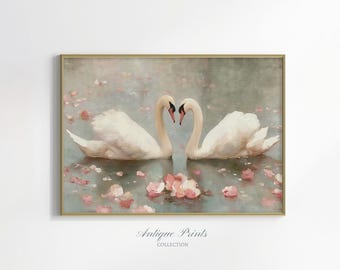 May include: A framed print featuring two white swans with curved necks forming a heart shape. The swans float on water with pink flower petals. The print has a gold frame and the text "Antique Prints Collection".