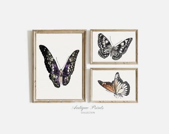 Juego de 3 impresiones de mariposas vintage, bocetos de mariposas neutras, dibujo de mariposas antiguas, arte de pared de 3 piezas para habitación infantil - IMPRIMIBLE