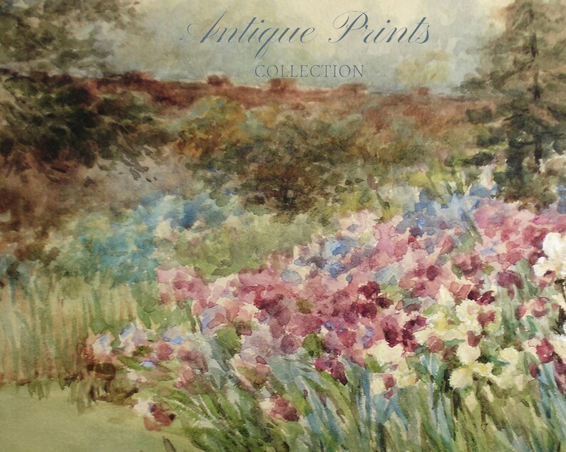 Vintage Spring Cottage Wall Art, Flowers Garden Painting, Antique Watercolor Tulip Print, Floral Farmhouse Wall Decor - PRINTABLE image 4