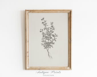 Neutraler botanischer Druck, Zweig Zeichnung Wandkunst, minimalistischer Vintage-Druck, Blumenantike vertikale Wandkunst, botanische Skizze - DRUCKBAR