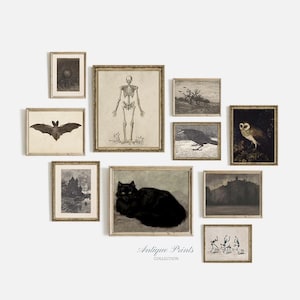 Juego de galería de pared de Halloween, conjunto de 10 pinturas vintage de humor, decoración de Halloween oscura antigua, arte de boceto de murciélago, arte de pared de esqueleto - IMPRIMIBLE