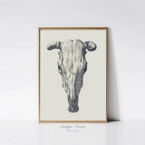 Kuhschädel Bleistiftzeichnung, Kuhschädel Skizze, Kuhhörner Druck, Südwesten Wand Kunst, antike westliche Dekoration, Cowboy Vintage Malerei - DRUCKBAR
