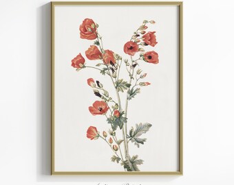 Cuadro floral vintage, arte mural con flores antiguas, impresión botánica, decoración rústica - IMPRIMIBLE