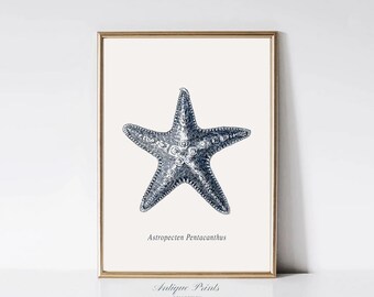 Society6 ケース VINTAGE STARFISH by Studio70 il_340x270.6126192040_9ebw.jpg