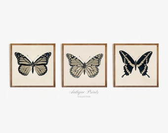 Set of 3 Neutral Butterfly Print, Antique Square Butterfly Drawing, Vintage Girl Nursery Wall Art, Butterflies Sketch Art -  PRINTABLE