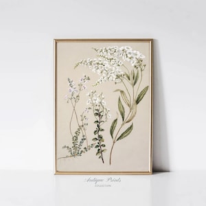 Desenho de flores vintage, estampa botânica neutra, arte de esboço de galho minimalista, arte de parede com flores verticais antigas, decoração de fazenda, PARA IMPRIMIR