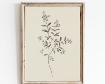 Botanical Wall Art, Neutral Branch Vintage Drawing, Minimalist Neutral Flowers Sketch Art, PRINTABLE Farmhouse Elegant Wall Decor